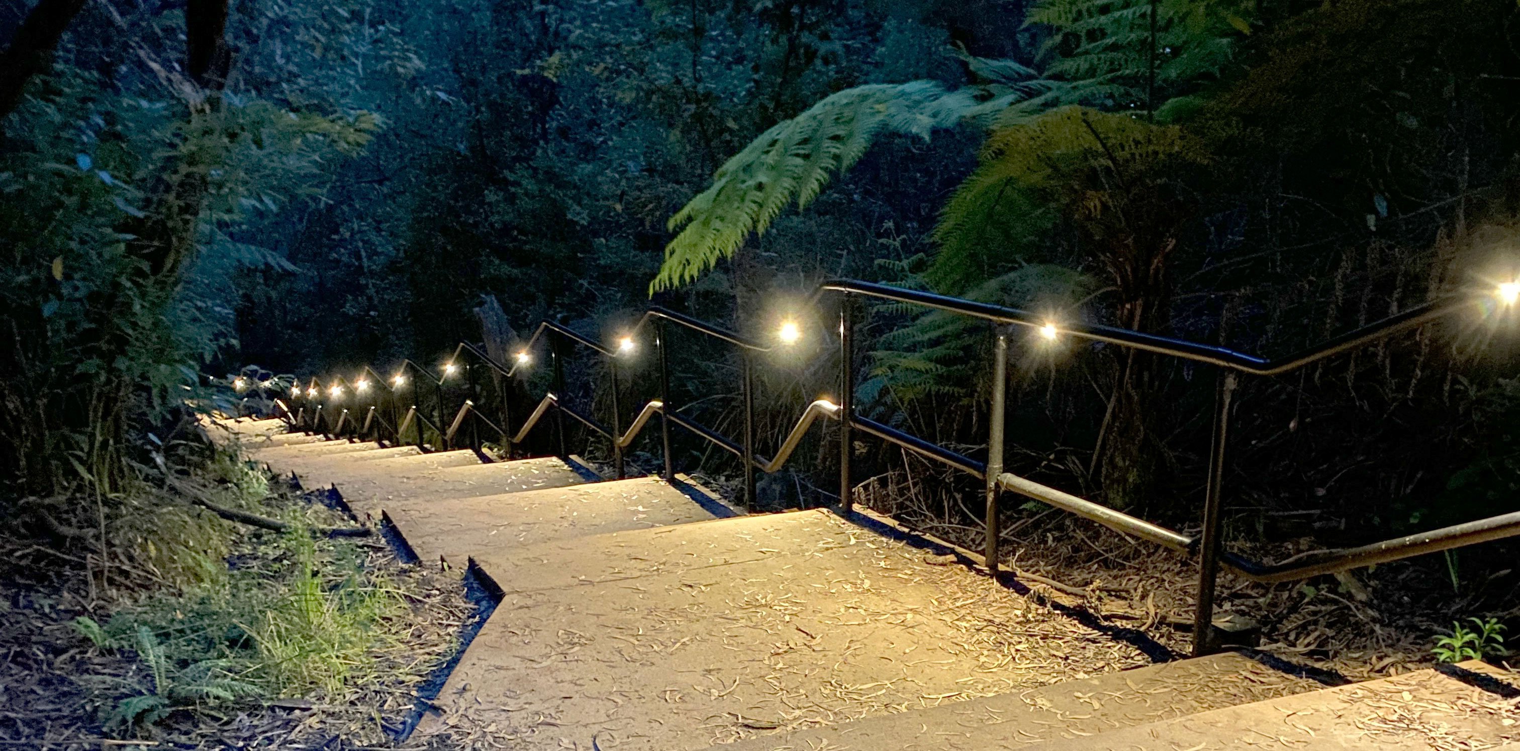 카툼바 폭포 야간 산책 (Katoomba Falls Night Walk)
